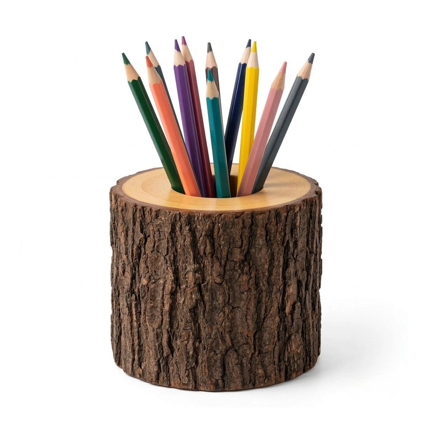 Zunik Natural Log Wooden Pen Holder with Authentic Bark